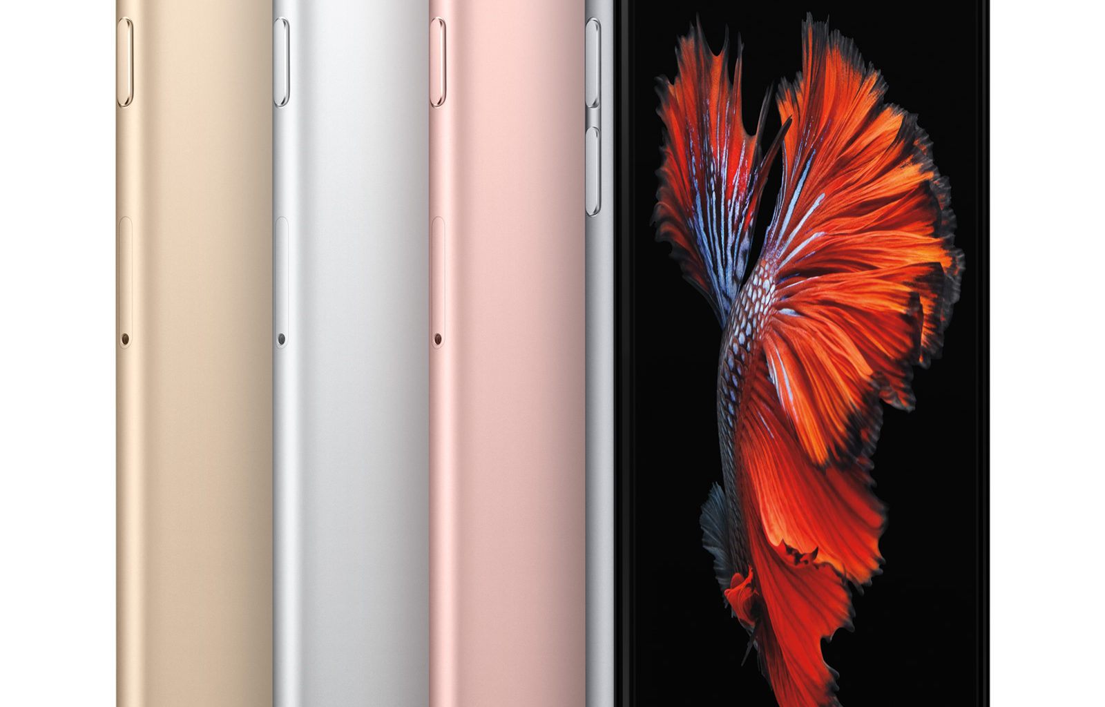 a bunch of iPhone 6s-es